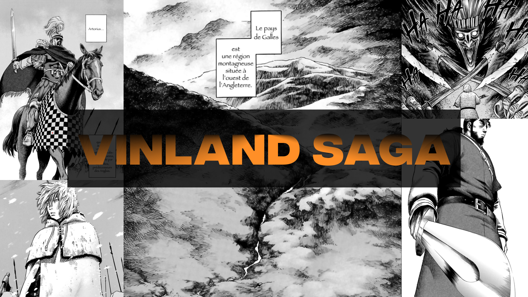 Pourquoi vous devez lire Vinland Saga!